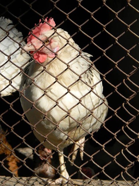 个人期待与 个人期待与