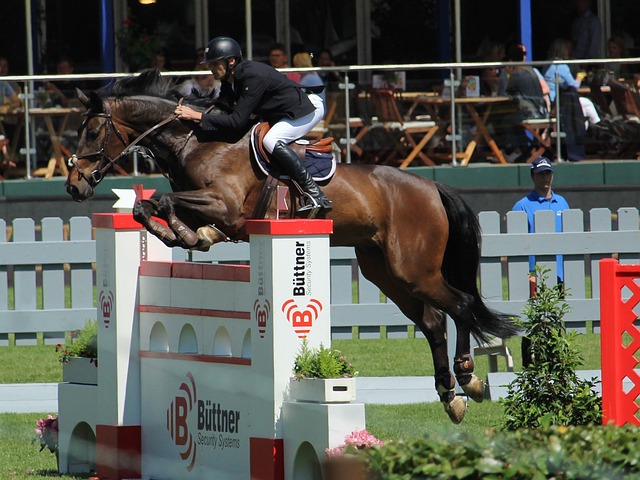 也让联盟重 也让联盟重