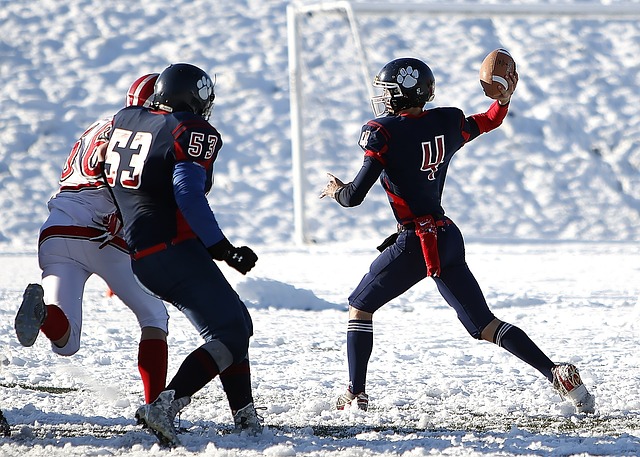 火箭与灰熊 火箭与灰熊