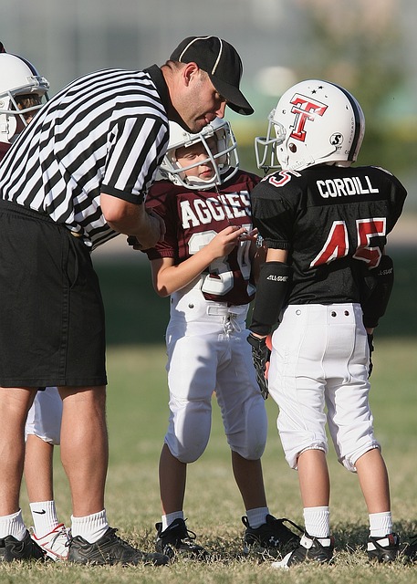 拉塞尔在N 拉塞尔在N